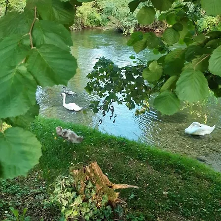 By The River Krka * Krška Vas